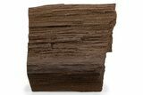 Permineralized Wood Covered In Sparkling Quartz - Germany #302186-1